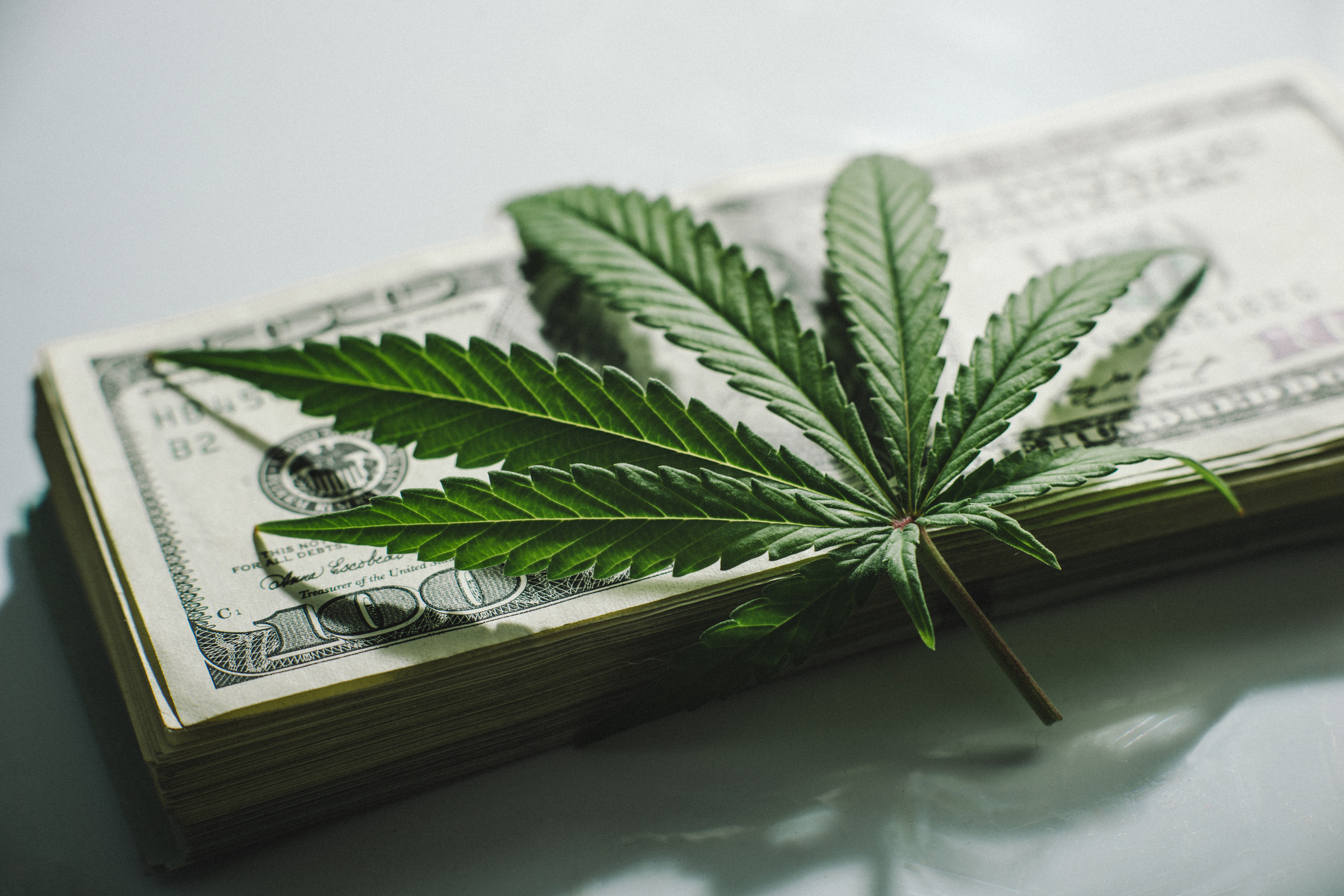 Der Bundestag Cannabis Legalisierung Gesprach Fur Den Bundestag