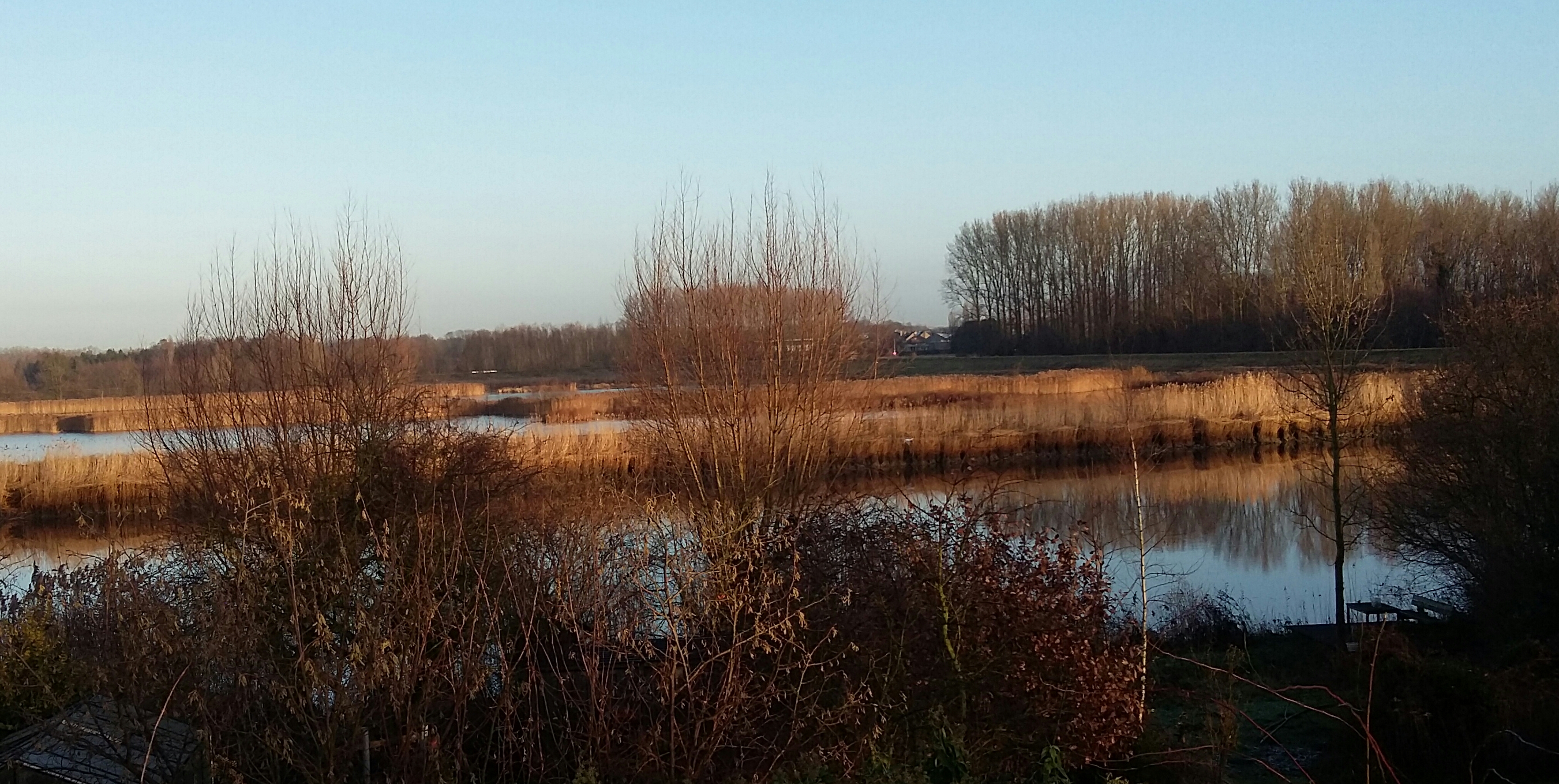 Dominiek Decleyre ANB - Michael Van Rompaey VLW- Ben Weyts - Koen Van Den Heuvel : JACHTVRIJ NU ! Paardenweide-Paardenbroek cluster Kalkense Meersen Berlare - Wichelen