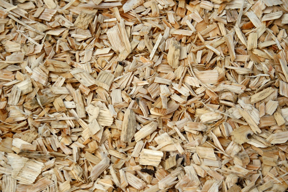 Petition gegen die irreführende Bezeichnung von Nicht-Holzprodukten als "Schnitzel"